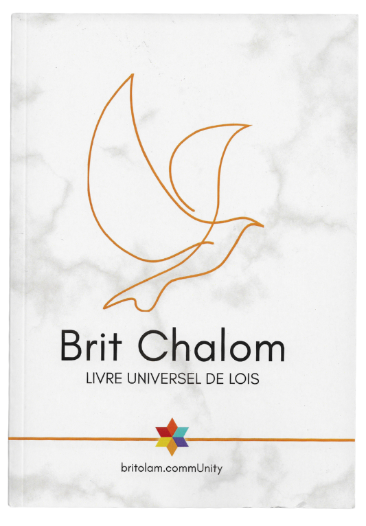 Brit Chalom – Alliance de Paix Guide pratique des lois Noachides Rav Oury Cherki